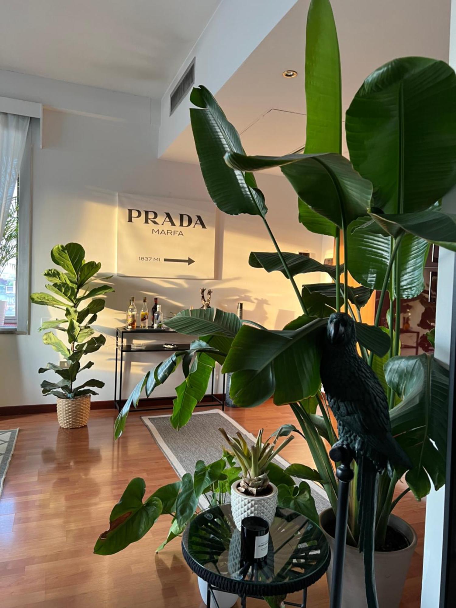 Urban Jungle - Attico Vista Duomo Milão Exterior foto